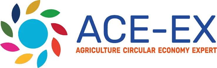 ACE-EX logo